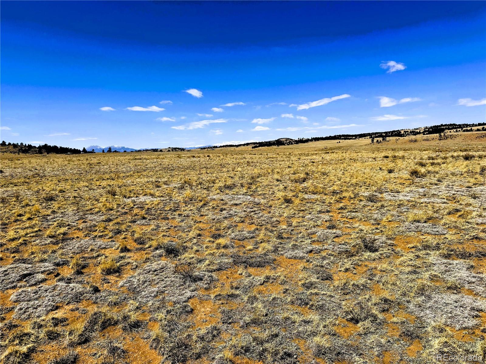 Lot 52 Gila Way Lot 52, Hartsel, CO 80449