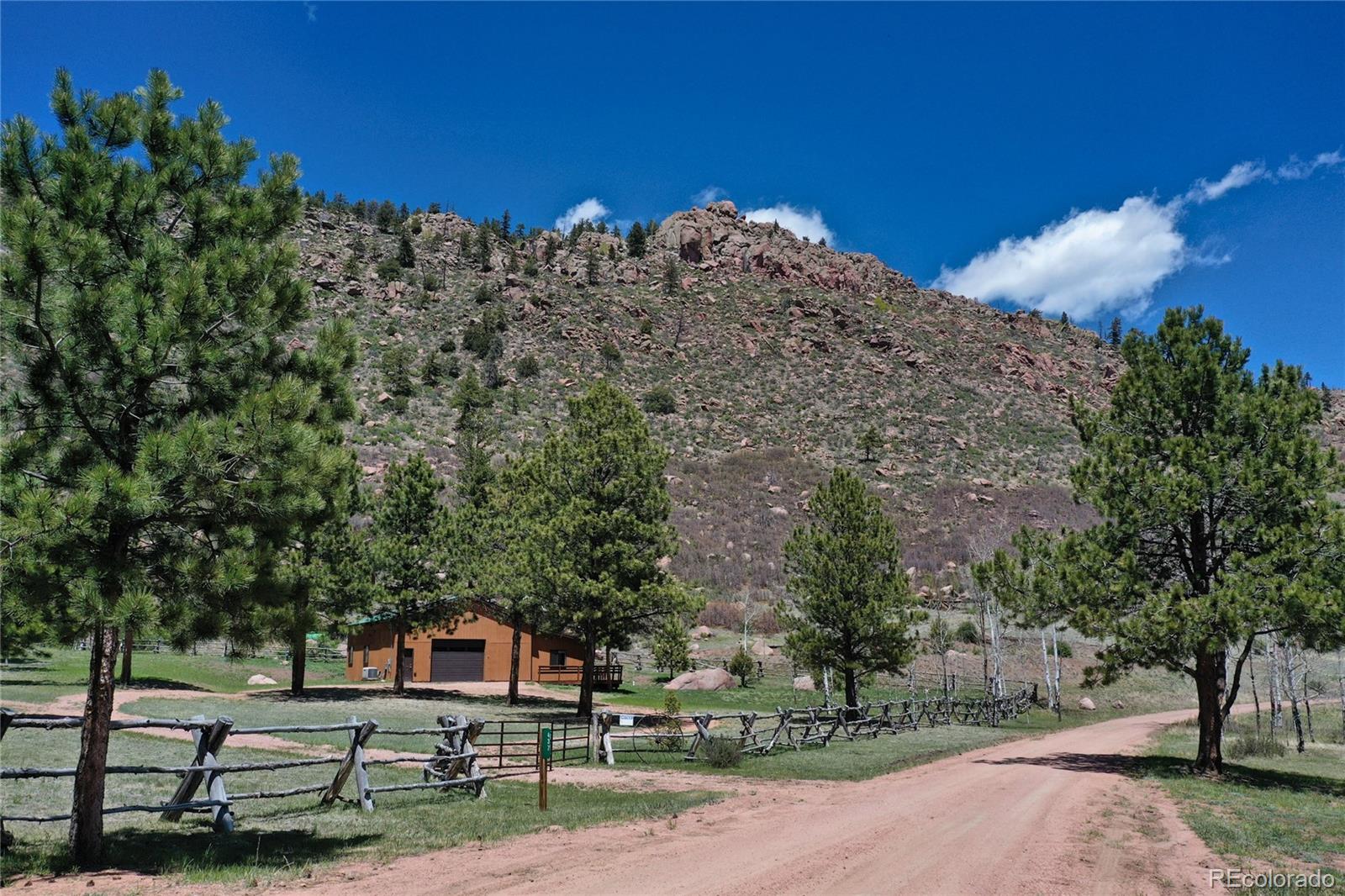 437 Langnis Rd, Guffey, CO 80820
