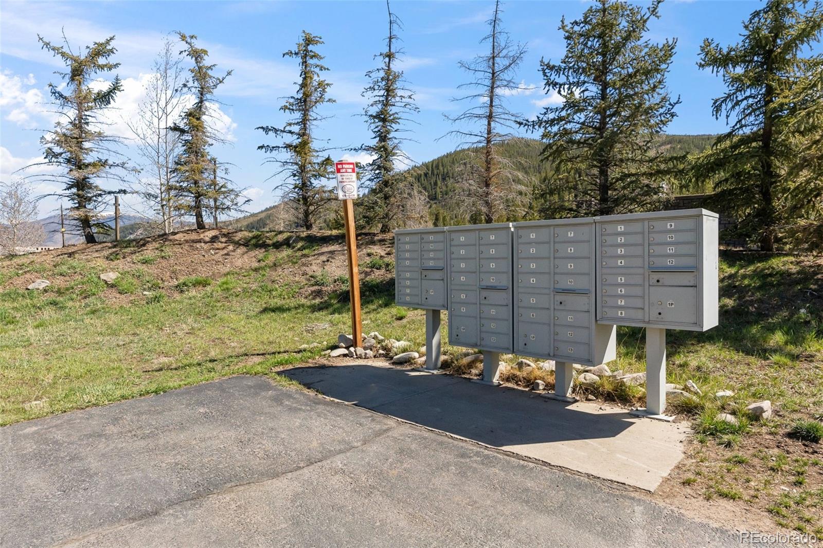87 Audrey Cir, Breckenridge, CO 80424