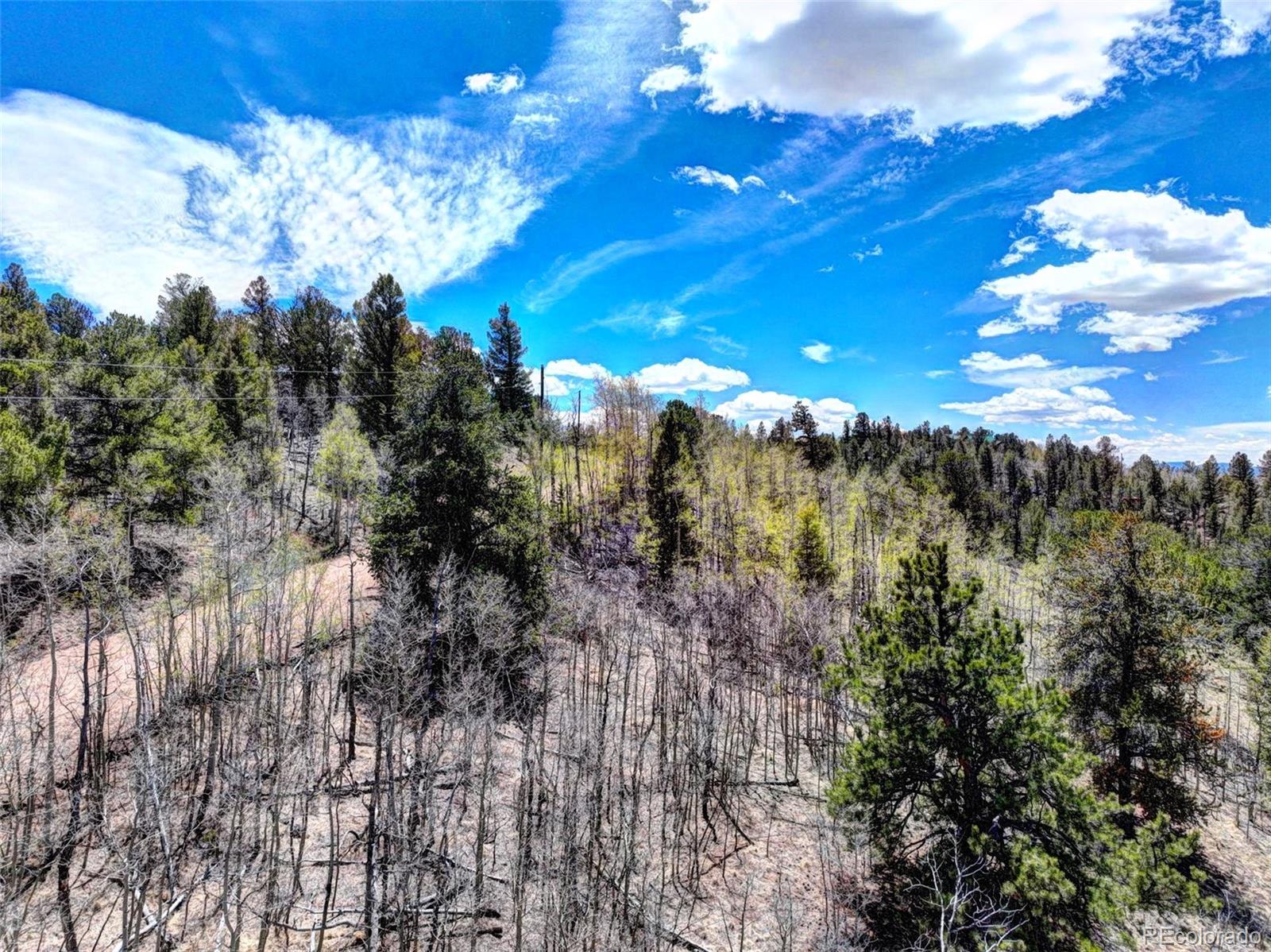 182 Starling Way, Como, CO 80432