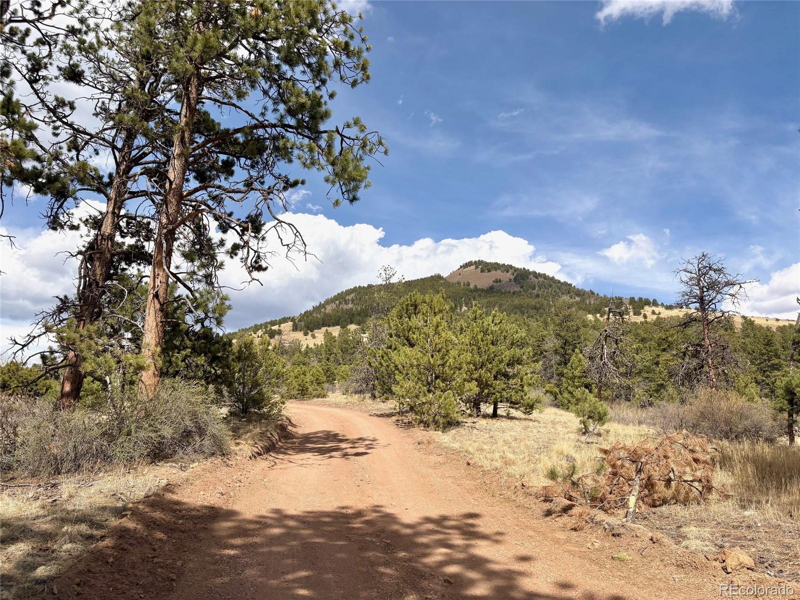 2121 Cr 1, Florissant, CO 80816