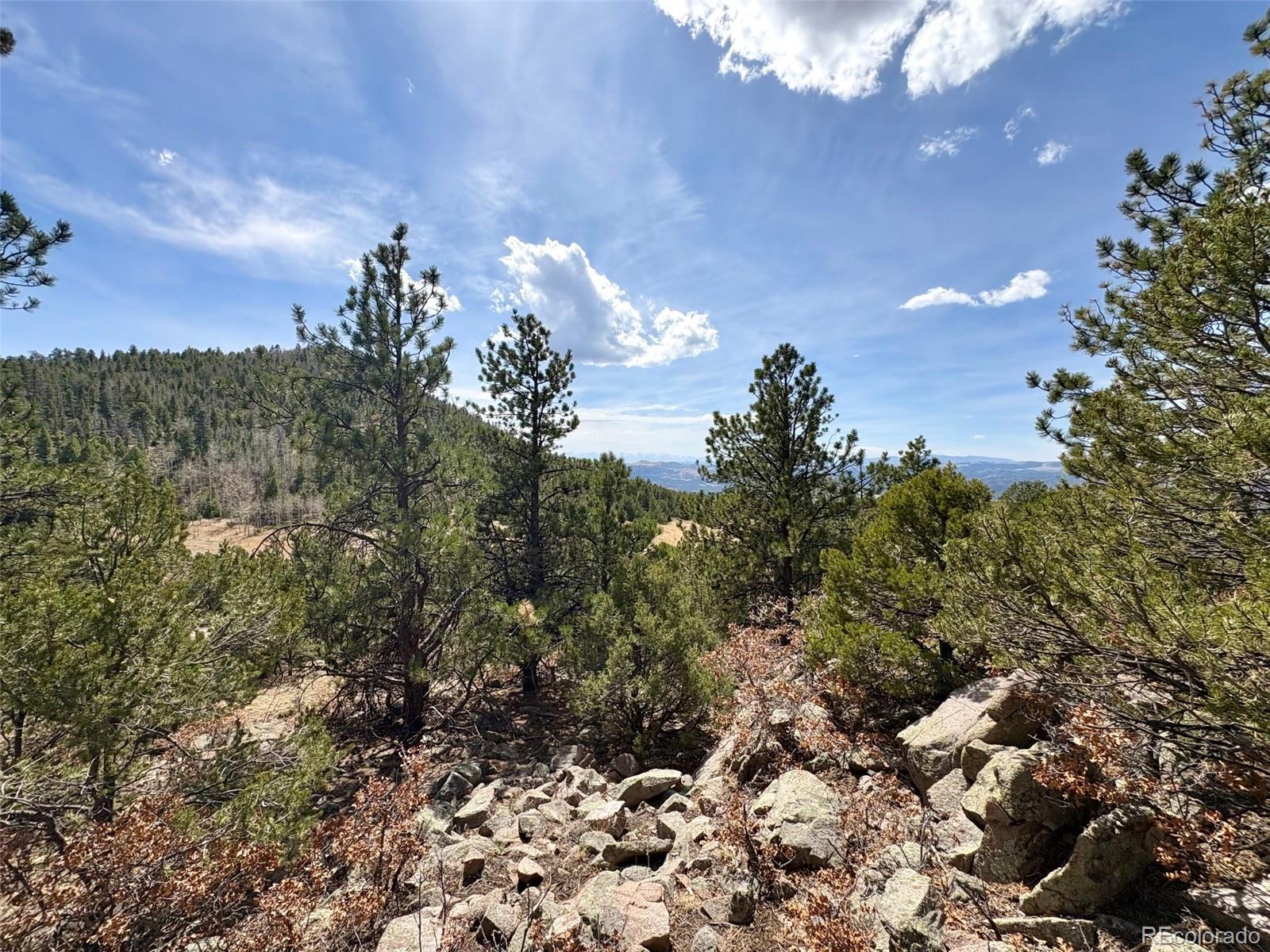 2121 Cr 1, Florissant, CO 80816