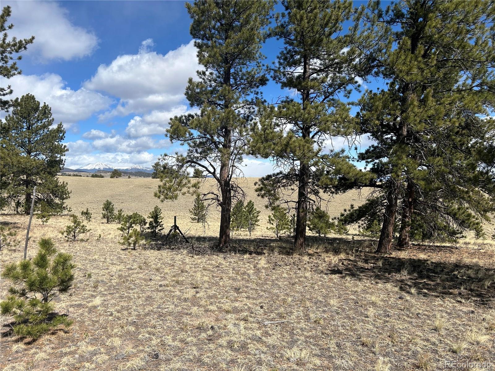 517 Brahma Cir Lot 925, Hartsel, CO 80449