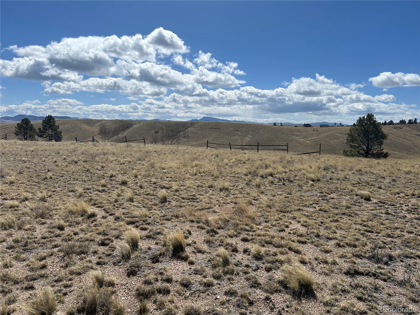 517 Brahma Cir Lot 925, Hartsel, CO 80449