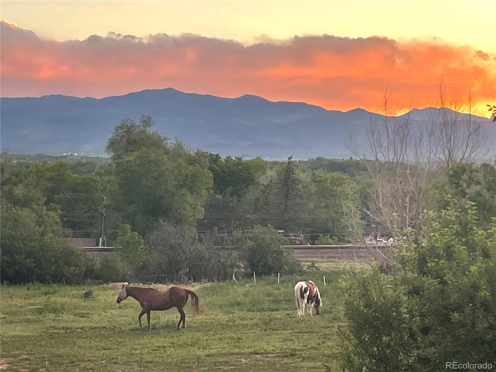 6490 Garland St, Arvada, CO 80004