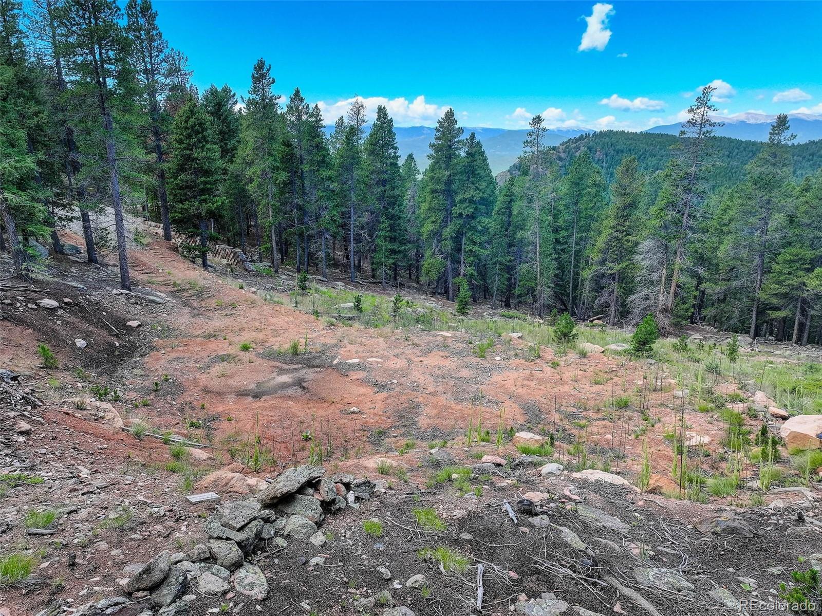 11275 Bear Run Trl, Conifer, CO 80433