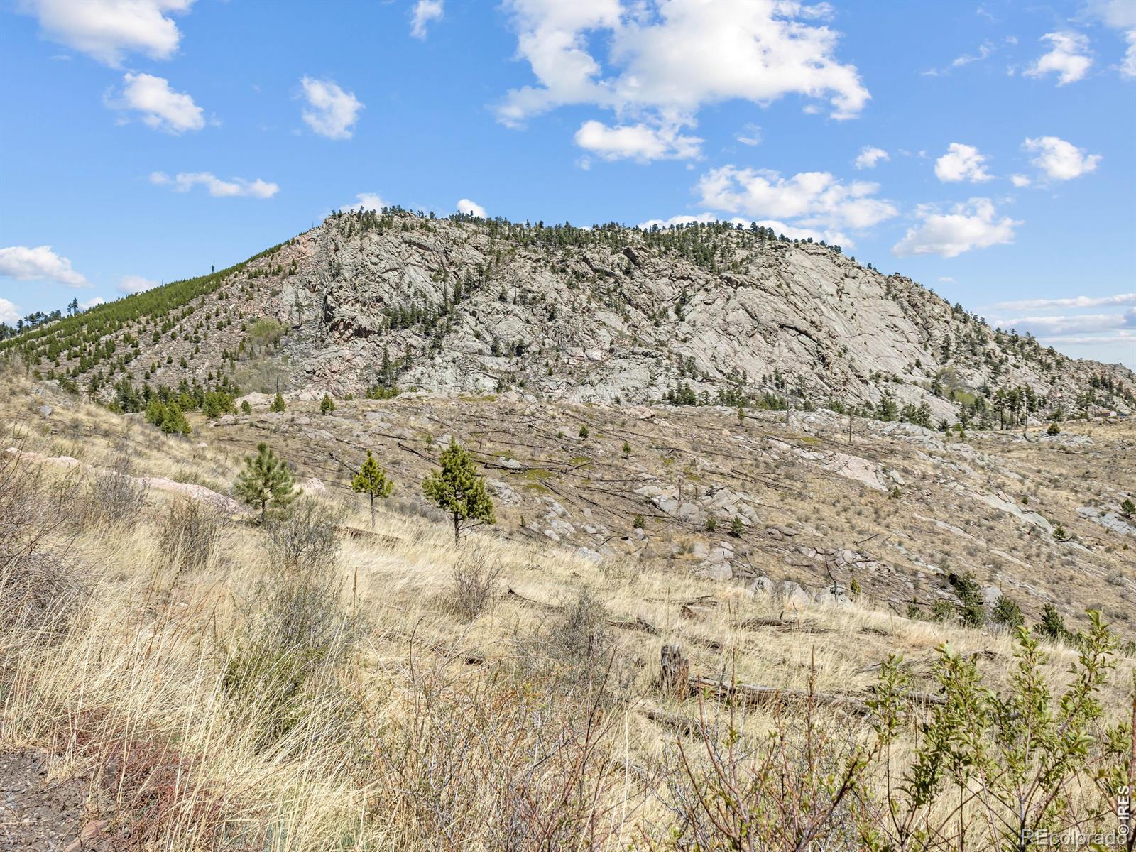 0 Bowser Ln, Drake, CO 80515