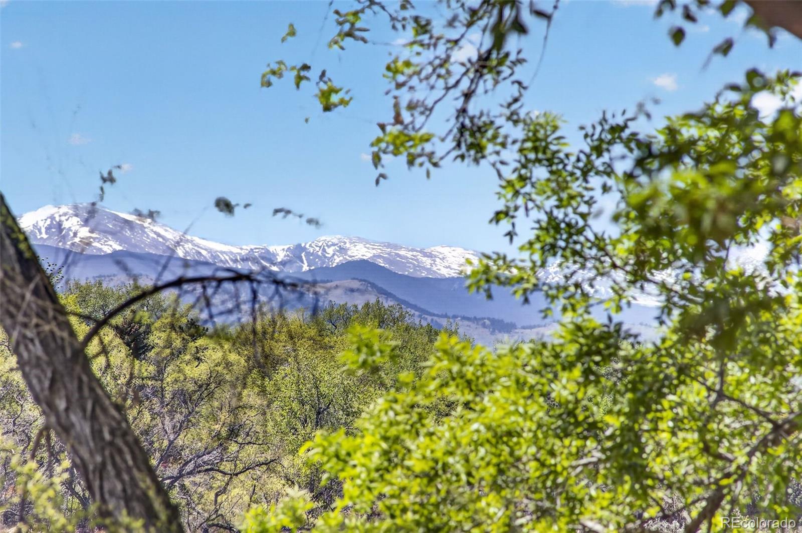8625 Garland Ct, Arvada, CO 80005