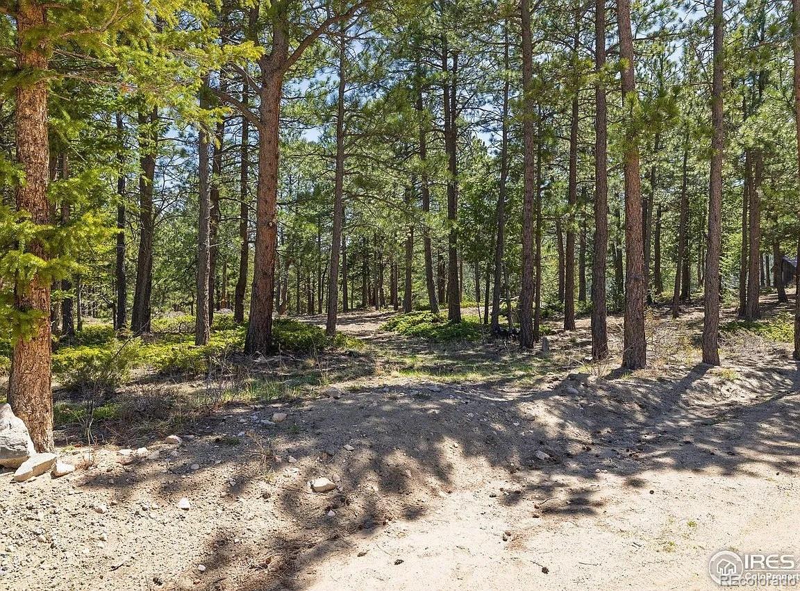 213 Rocky Knob Ln, Nederland, CO 80466