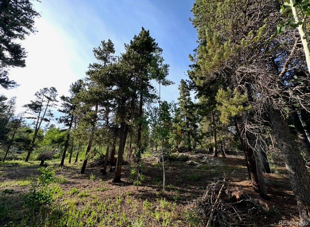 221 Timber Dr, Black Hawk, CO 80422