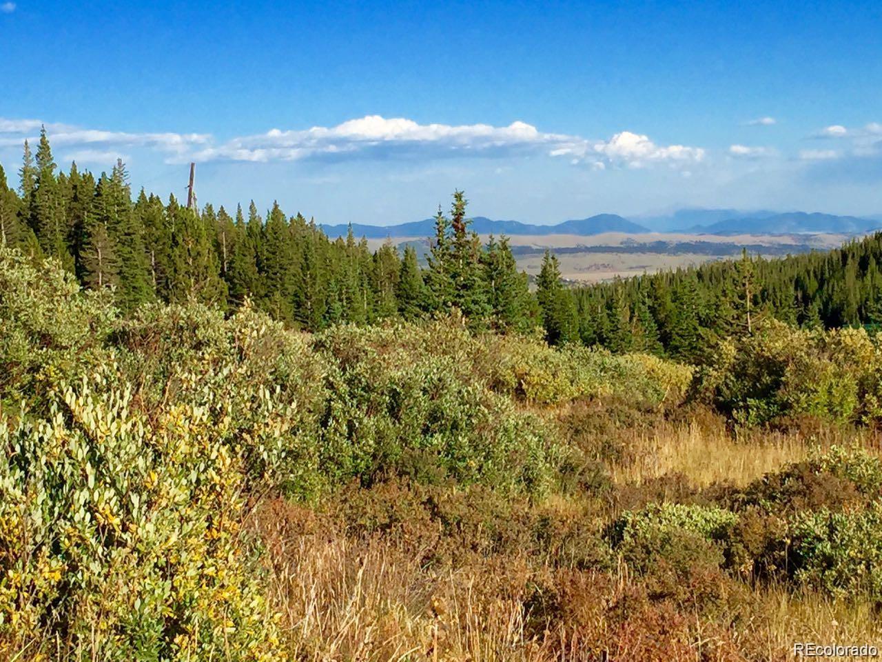 1180 Zebulon St, Alma, CO 80420