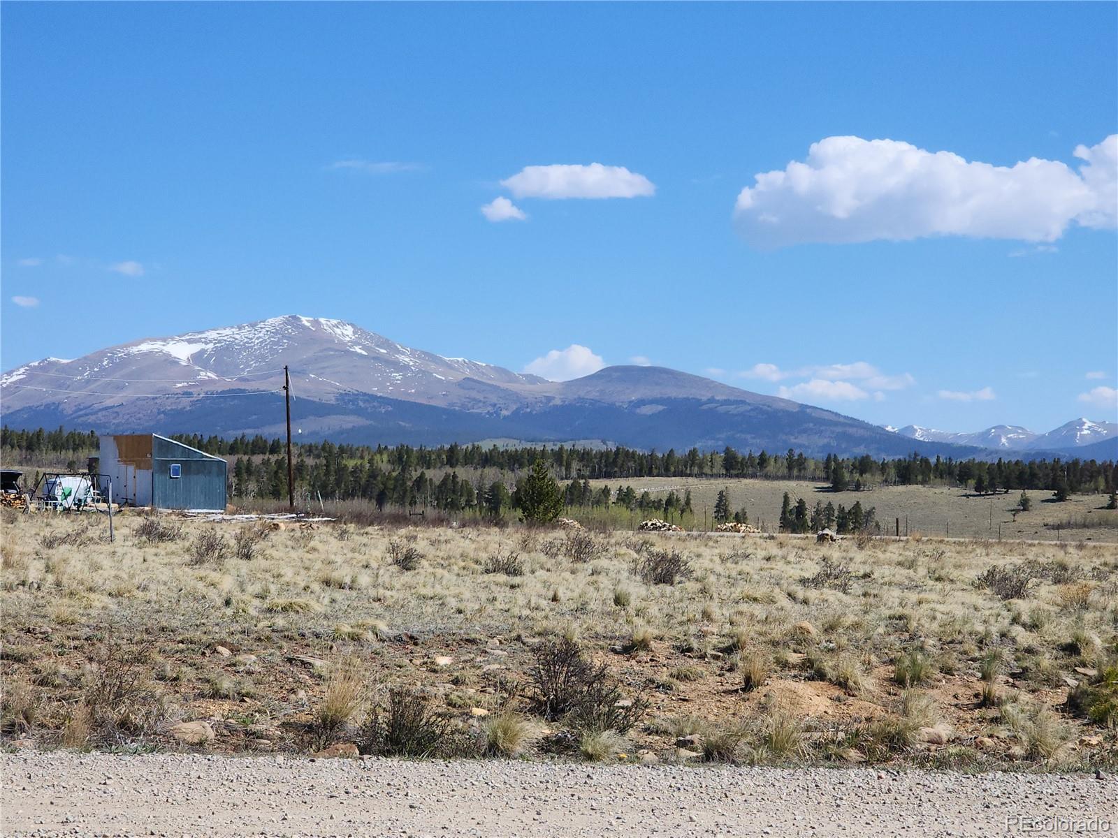 68 Sleepy Grass Ct, Fairplay, CO 80440