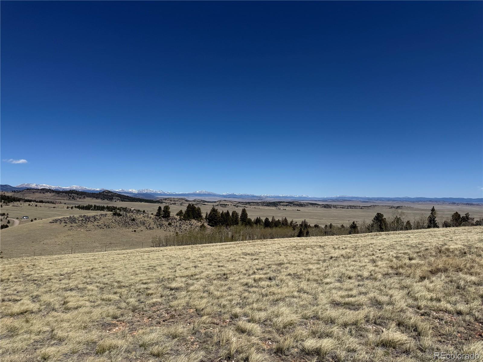 197 Baler Ct, Hartsel, CO 80449
