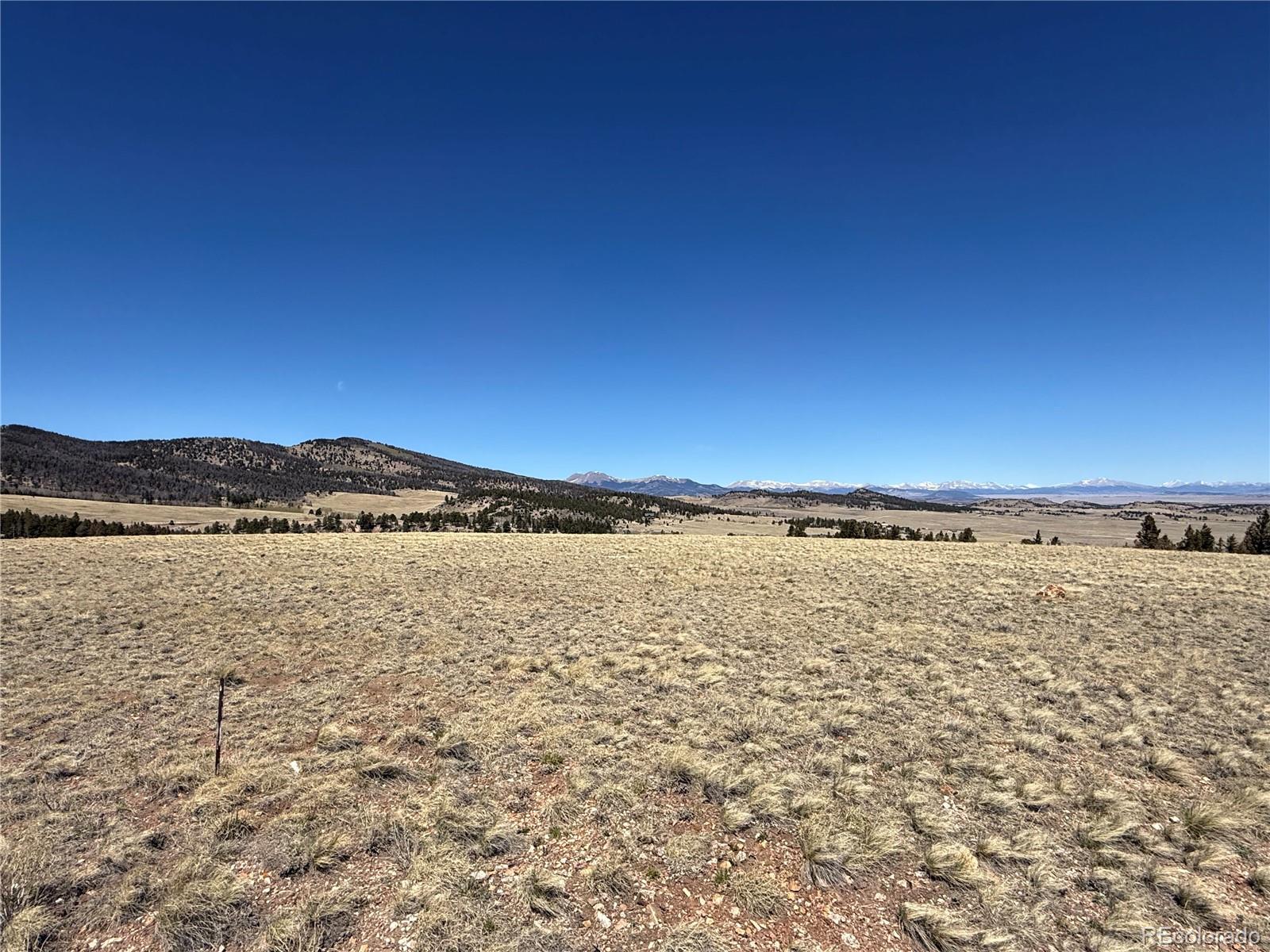 197 Baler Ct, Hartsel, CO 80449