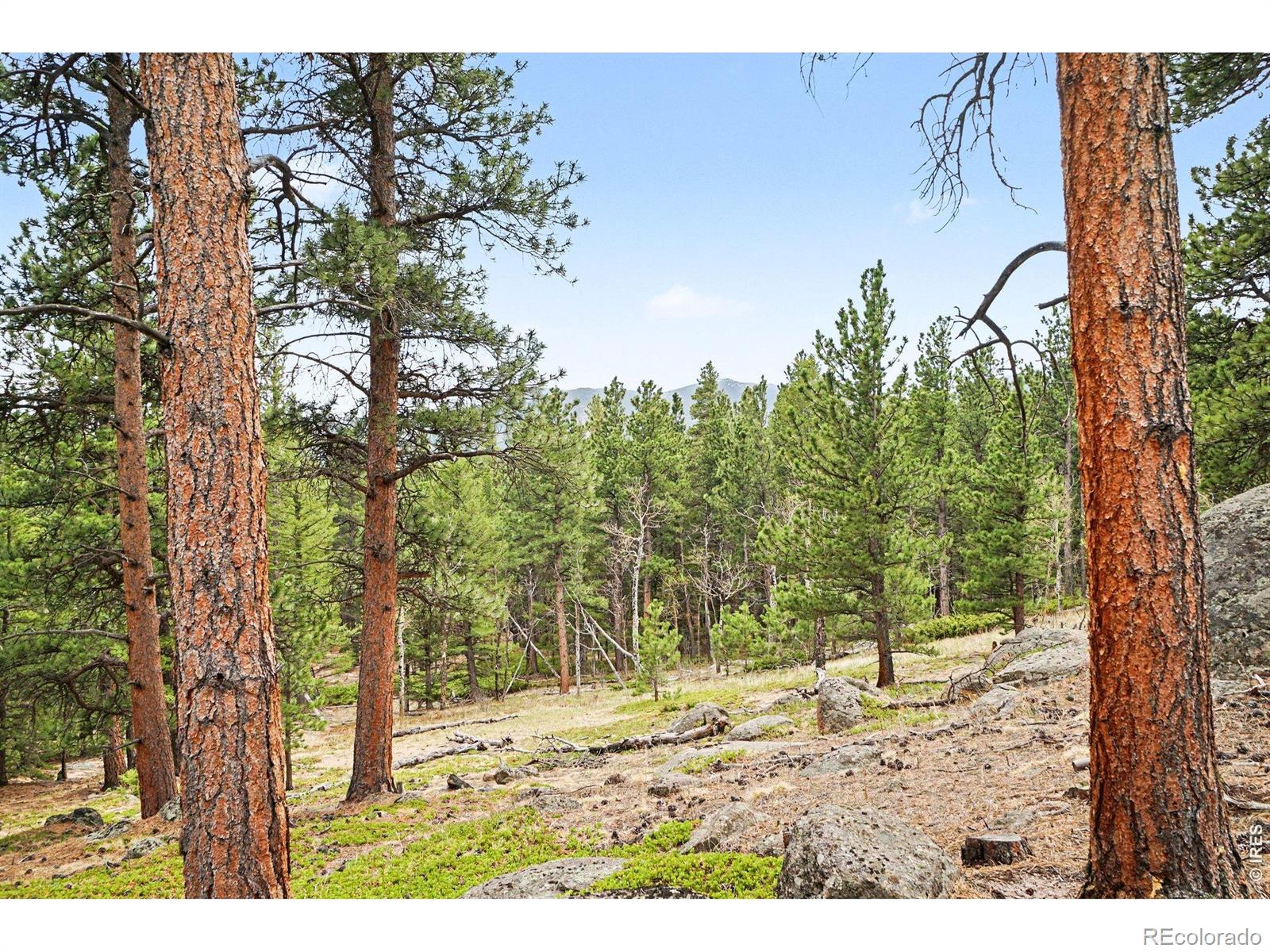 12190 Highway 7, Allenspark, CO 80510