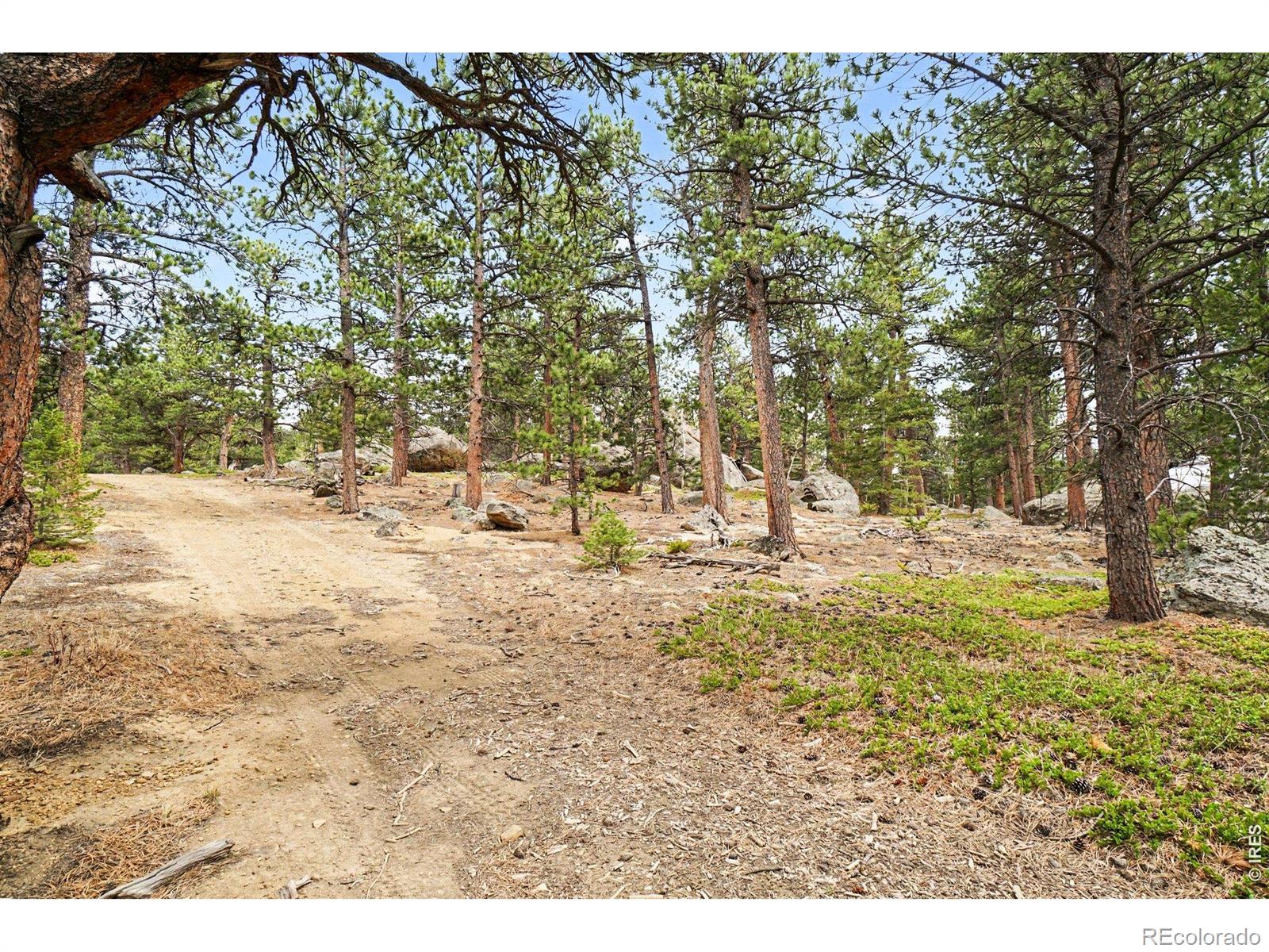 12190 Highway 7, Allenspark, CO 80510
