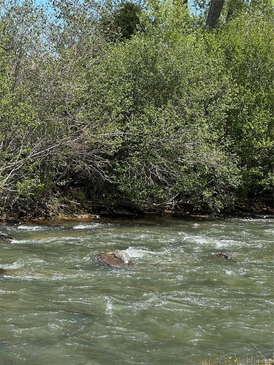 Lot 109 Alamosa River Est, Capulin, CO 81124