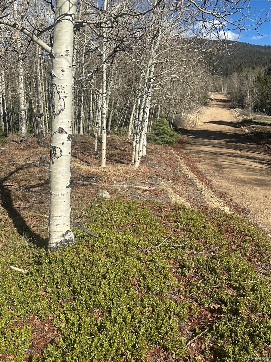 Lot 6744 Starkweather Rd, San Luis, CO 81152