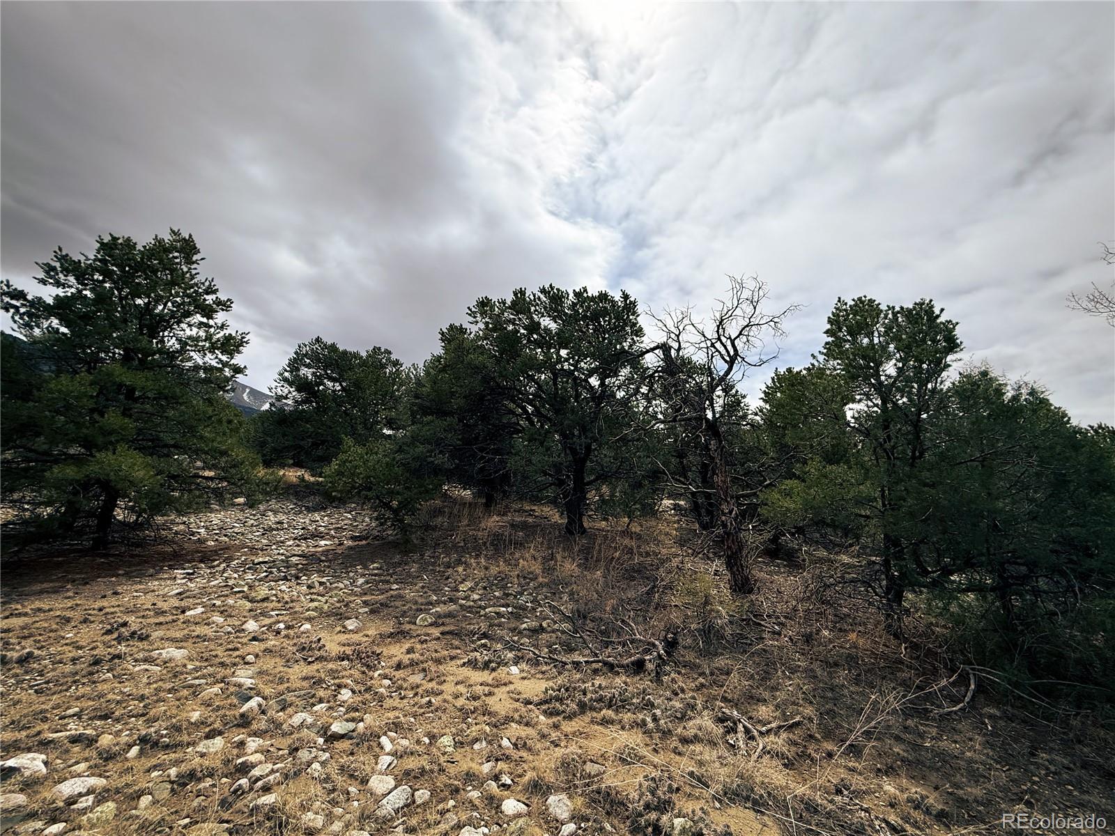 76 Mill Run Rd, Mosca, CO 81146