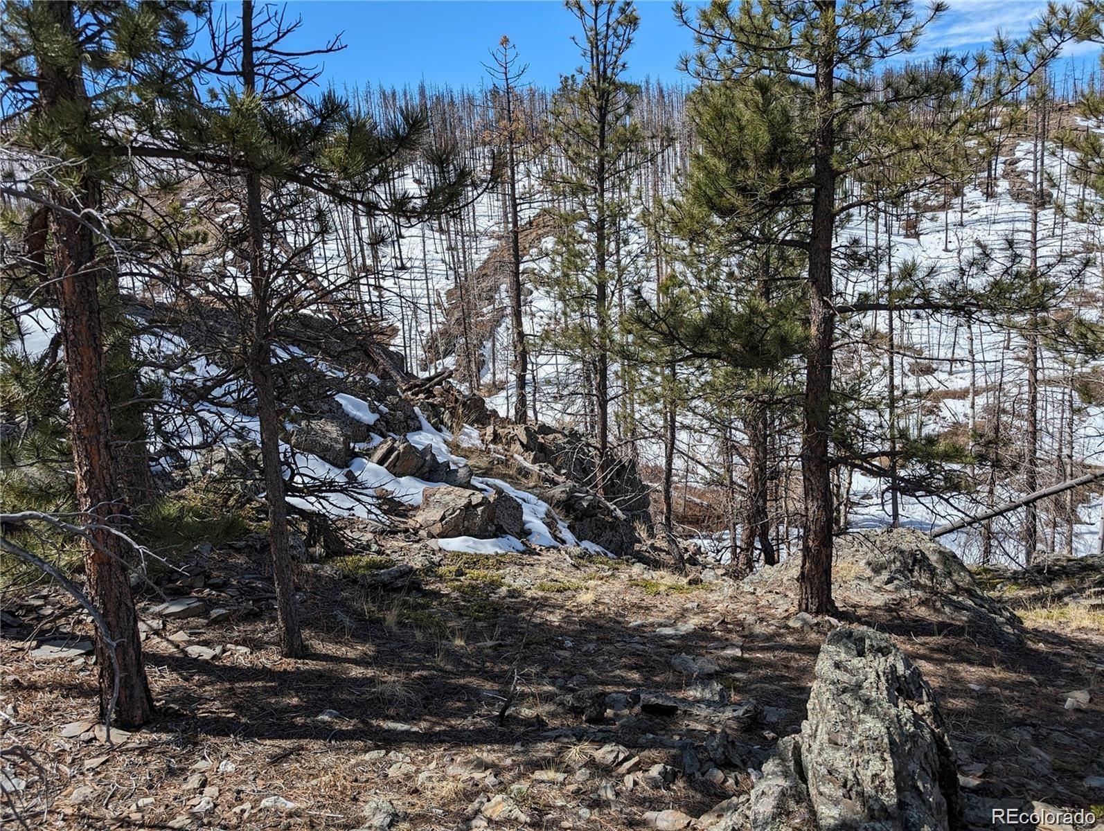 60 Powder Horn Trl, Bellvue, CO 80512