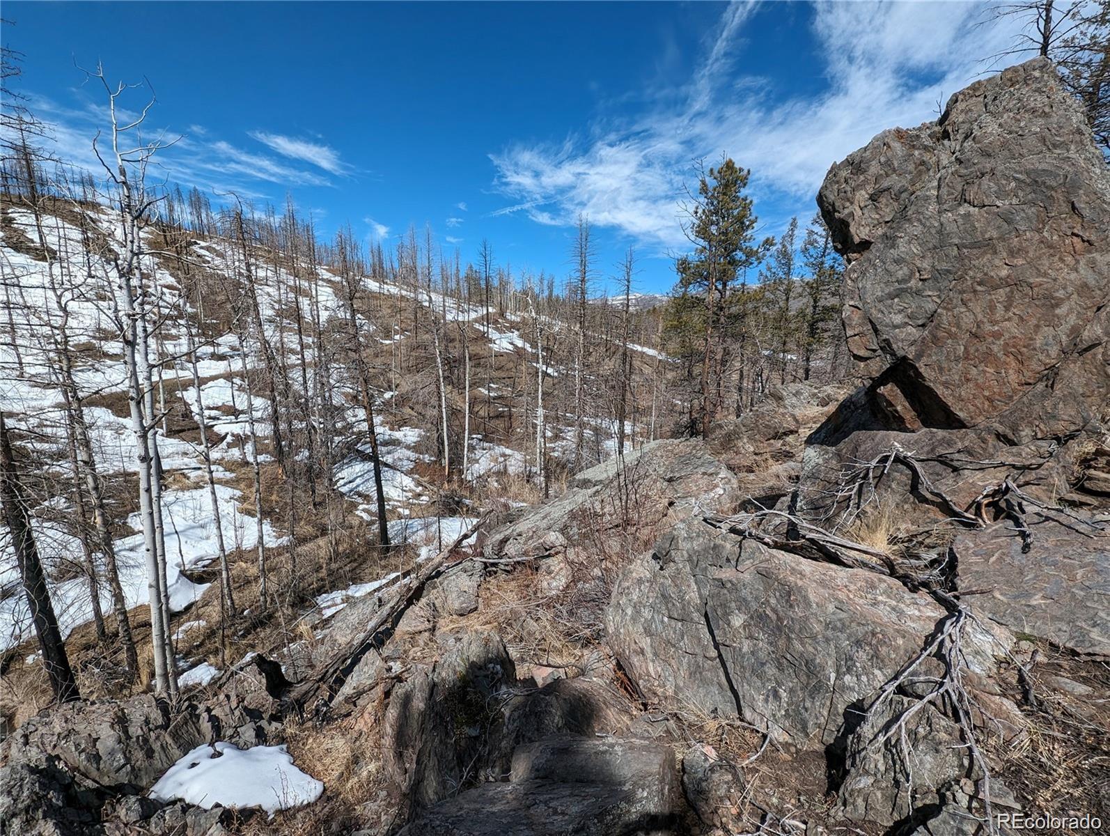 60 Powder Horn Trl, Bellvue, CO 80512