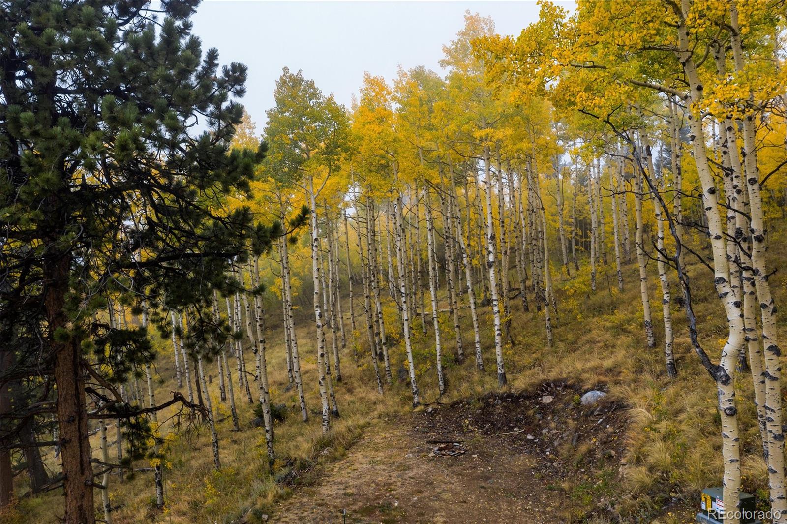0 Robinson Hill Rd Lot 6, Golden, CO 80403