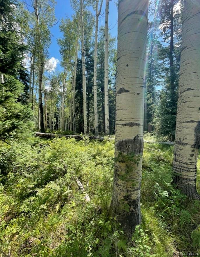 207 Camp Robber Dr, Creede, CO 81130