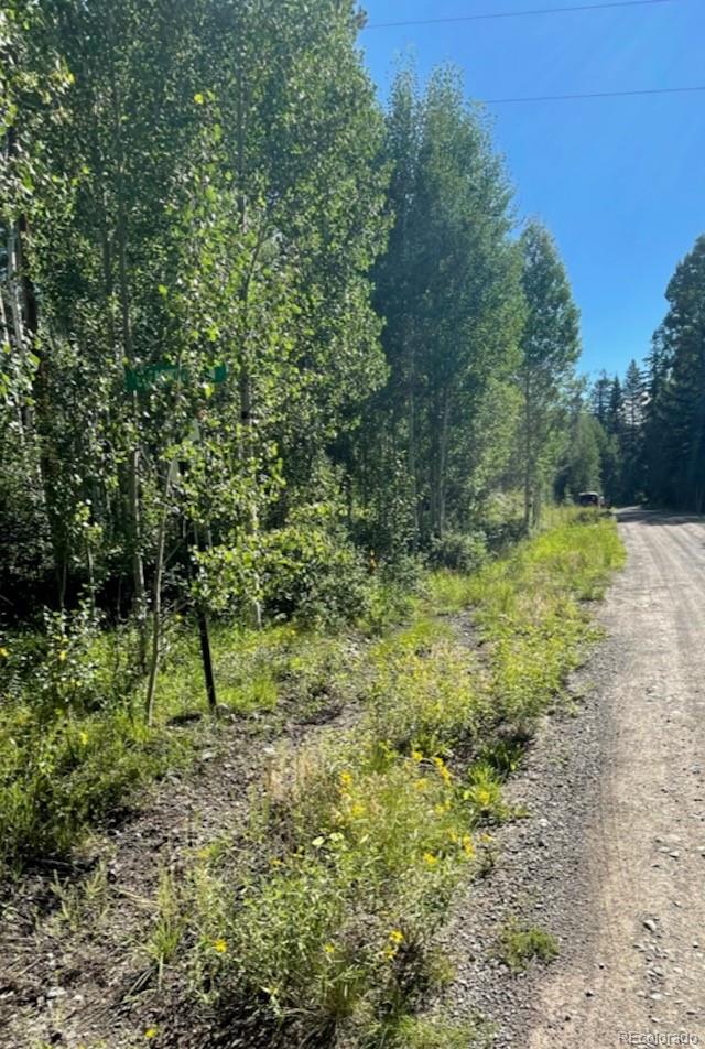 207 Camp Robber Dr, Creede, CO 81130