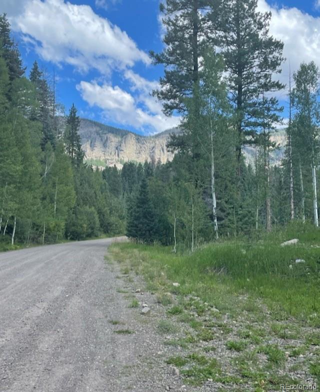 207 Camp Robber Dr, Creede, CO 81130