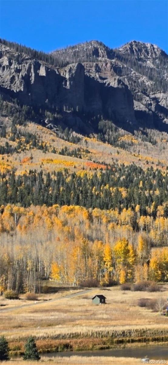 212 Camp Robber Dr, Creede, CO 81130