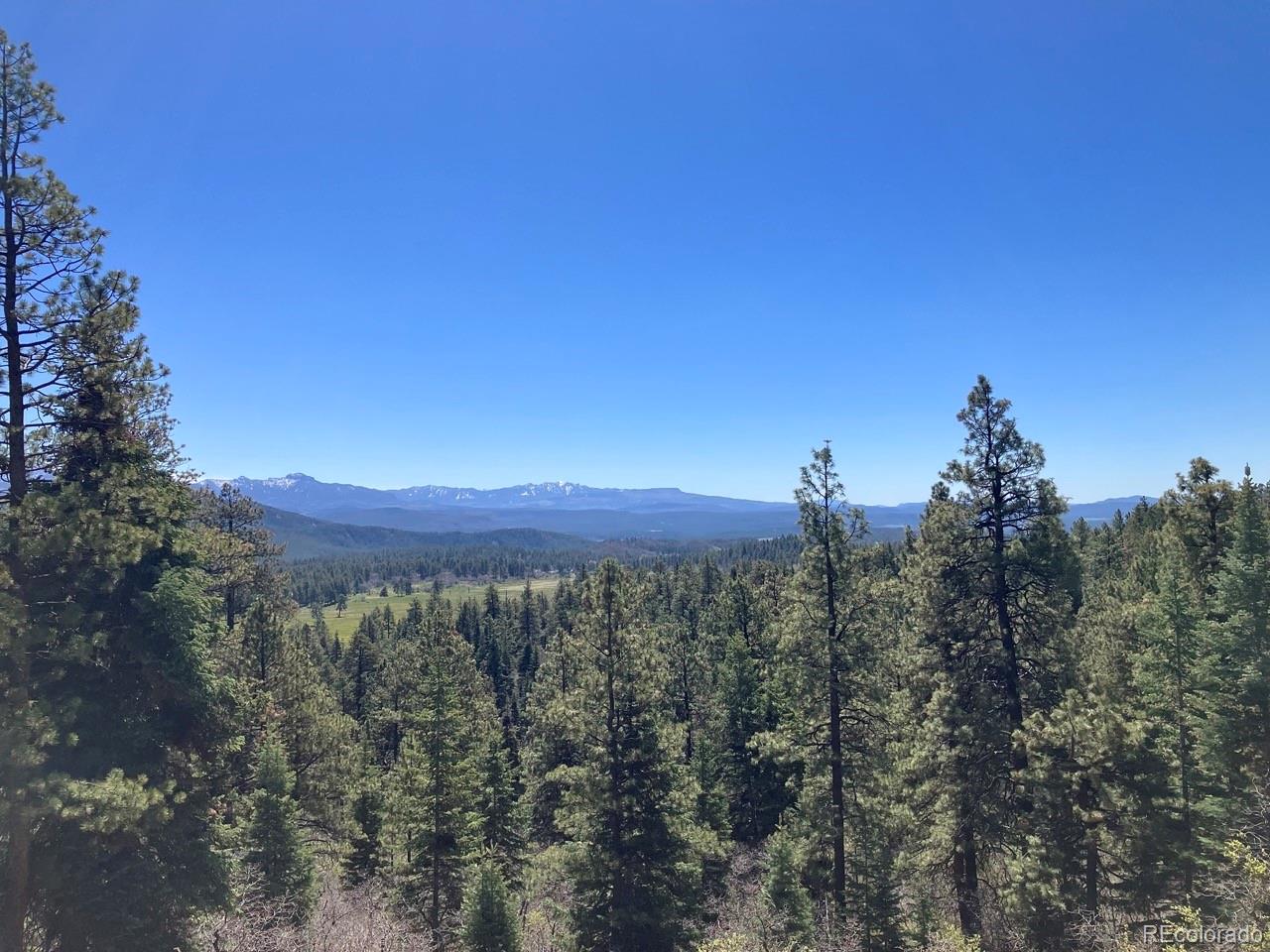 212 Camp Robber Dr, Creede, CO 81130