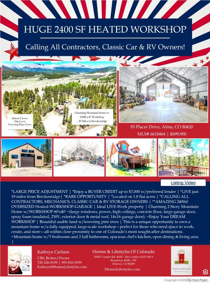 93 Placer Dr, Alma, CO 80420