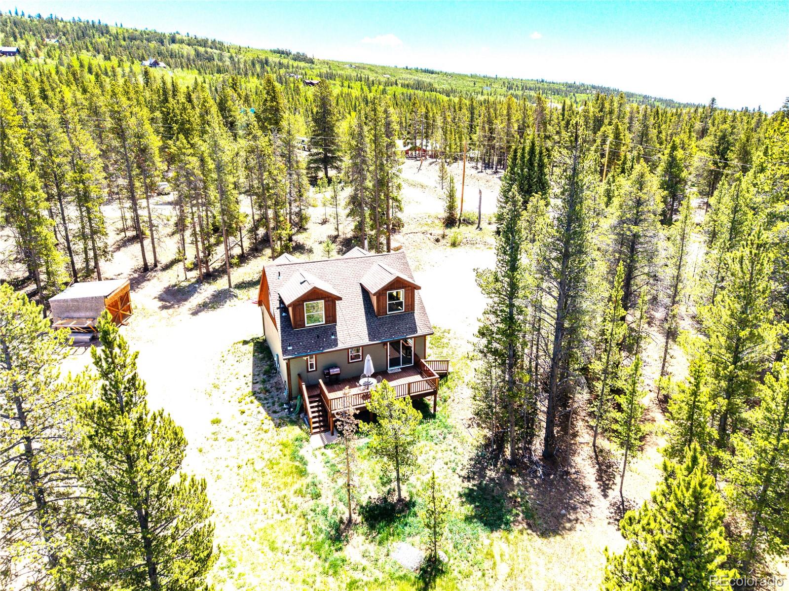 93 Placer Dr, Alma, CO 80420