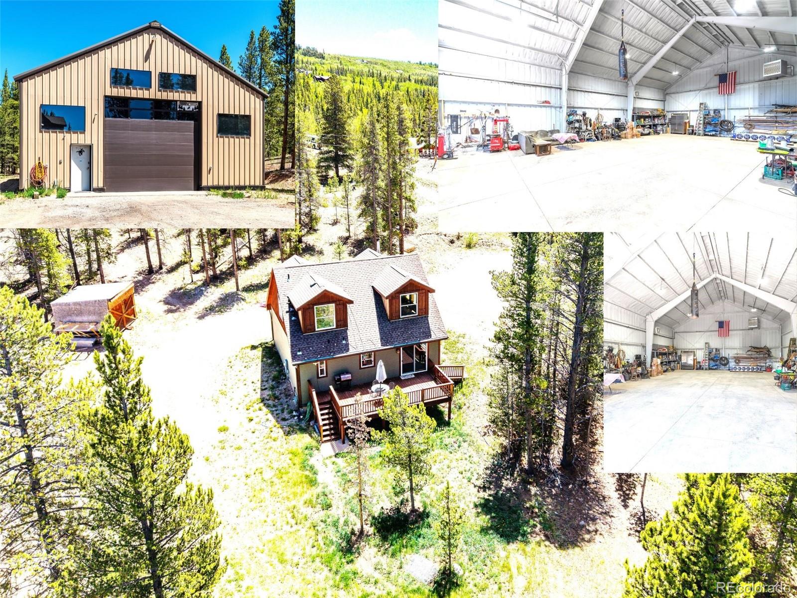 93 Placer Dr, Alma, CO 80420