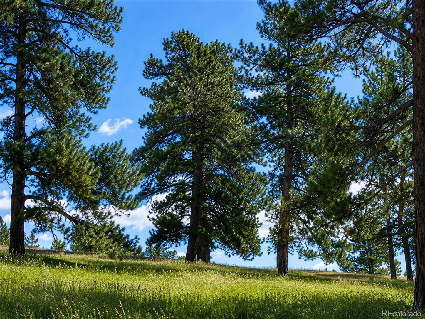 1 Forest Rim, Aurora, CO 80016
