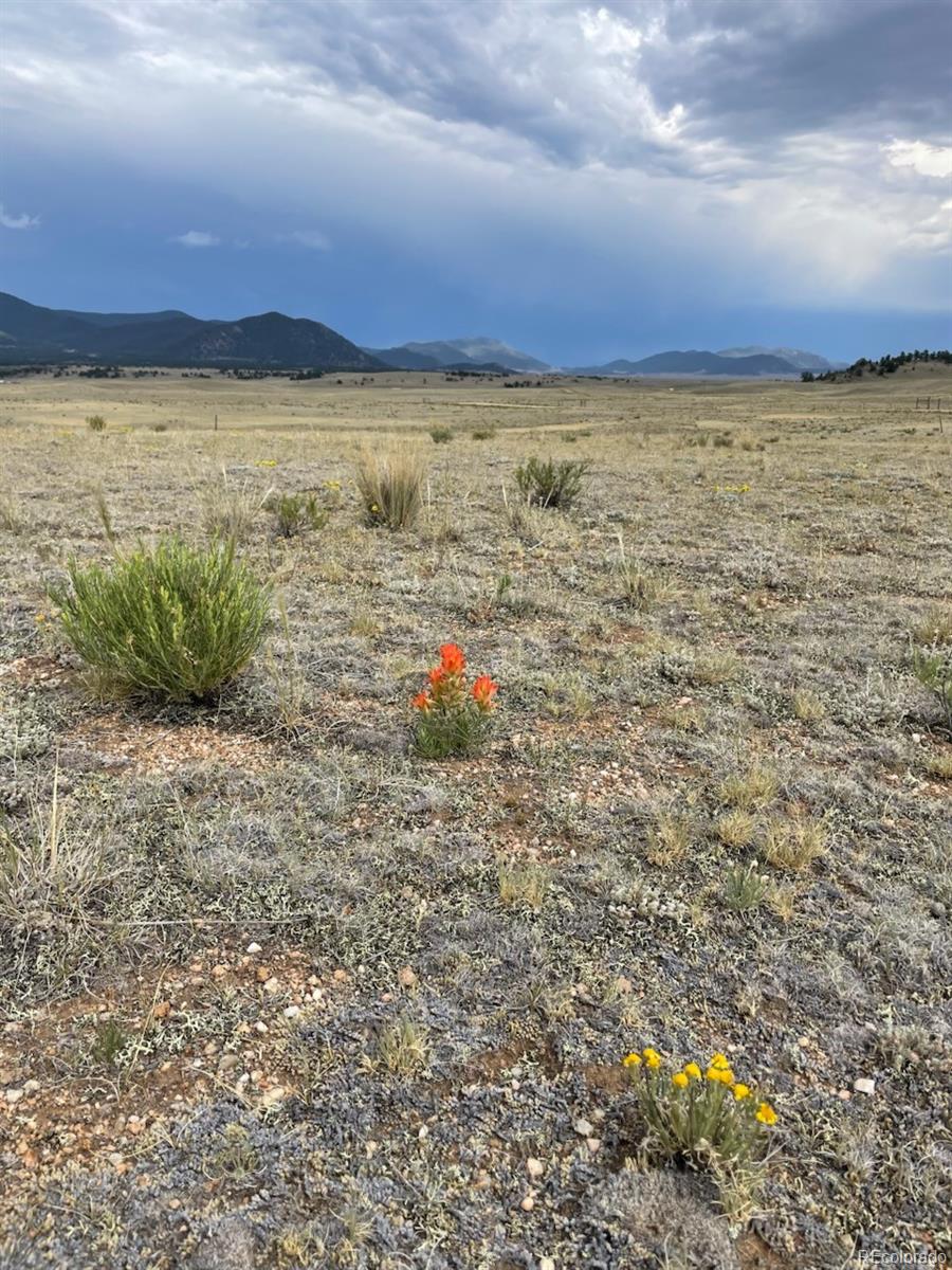 205 Cheyenne Trl, Hartsel, CO 80449
