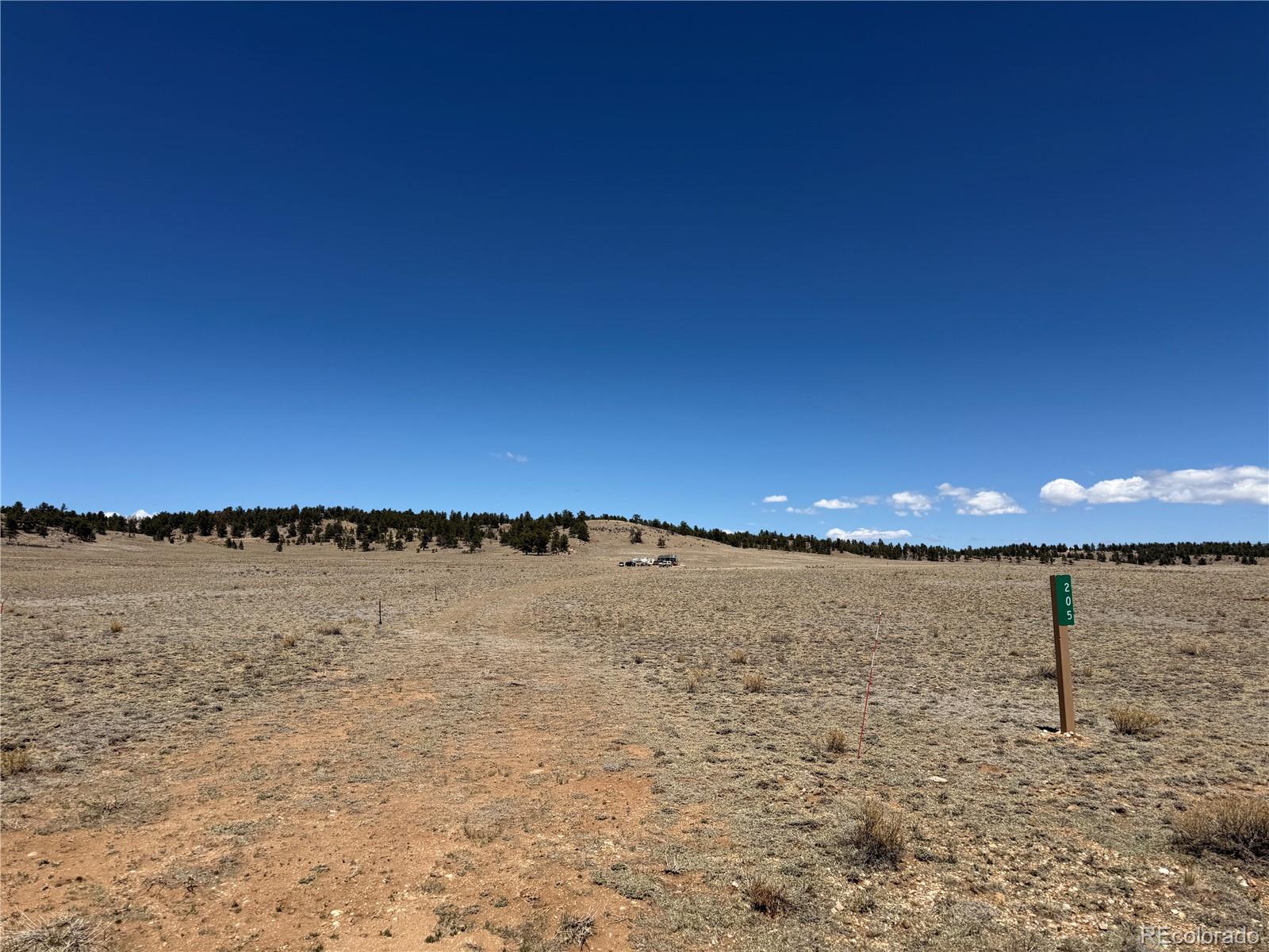 205 Cheyenne Trl, Hartsel, CO 80449