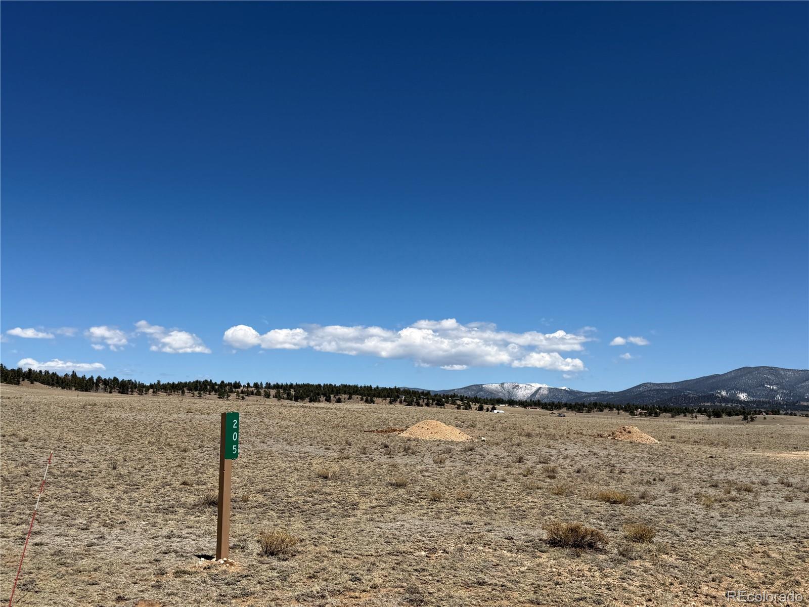 205 Cheyenne Trl, Hartsel, CO 80449
