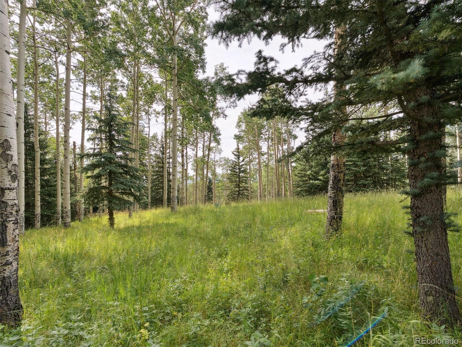 000 Snyder Mountain Rd, Evergreen, CO 80439
