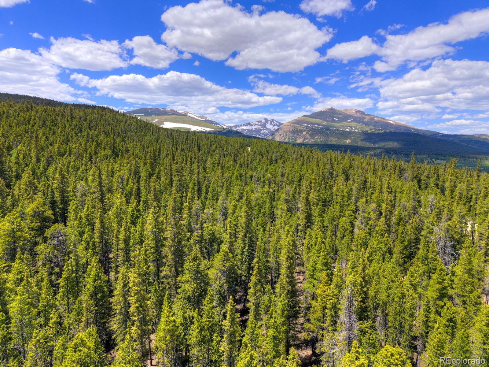 2221 Kootchie Kootchie Rd, Fairplay, CO 80440