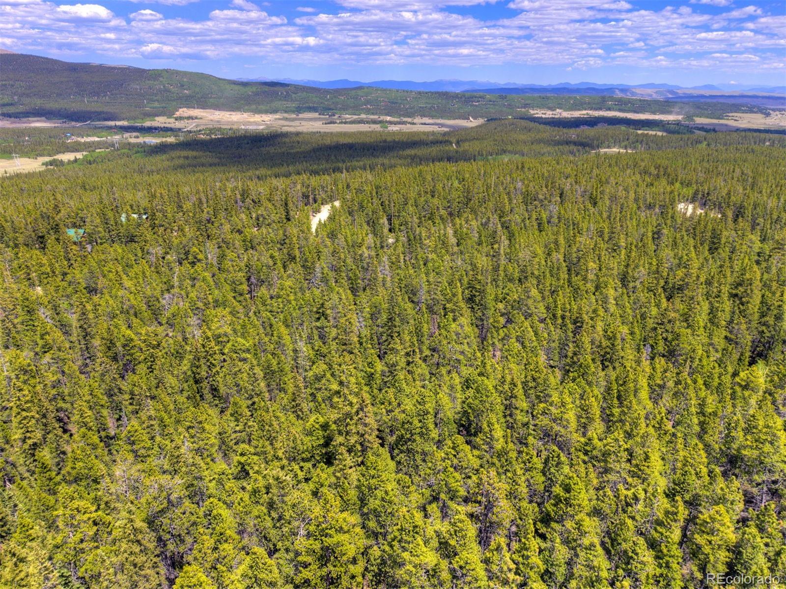 2221 Kootchie Kootchie Rd, Fairplay, CO 80440