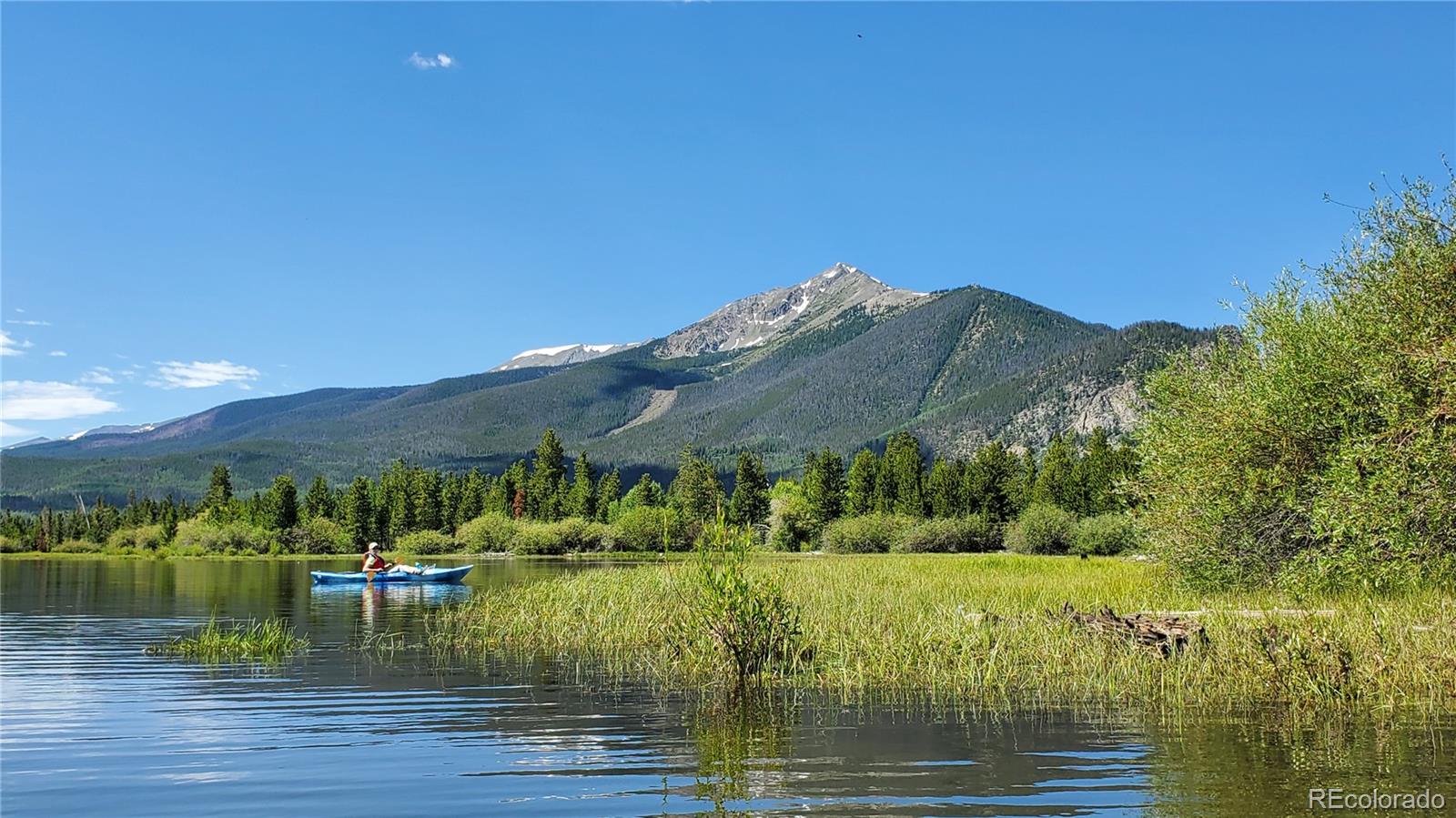 419 Kestrel Ln, Silverthorne, CO 80498