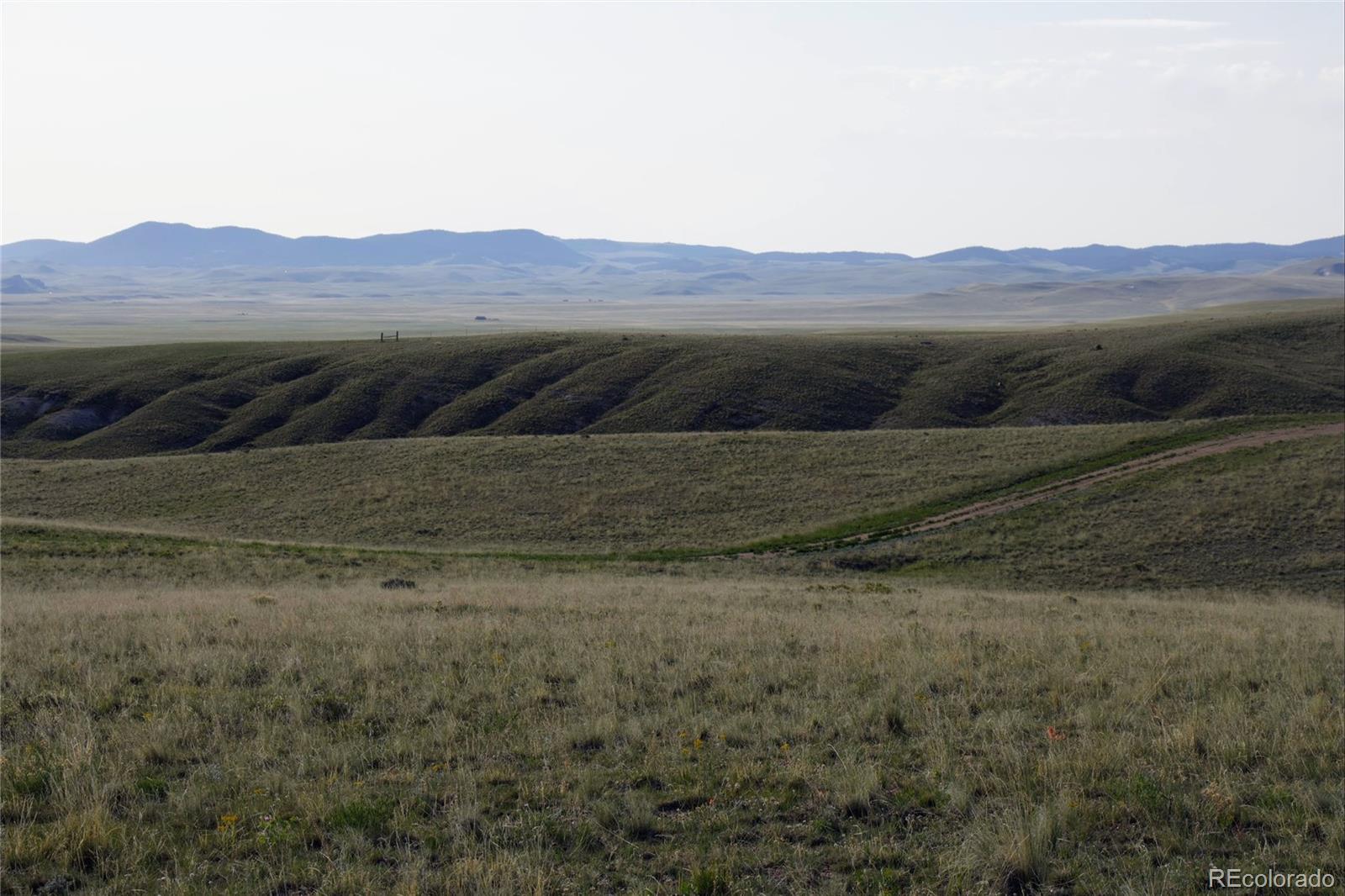 767 Brahma Cir Lot 0928, Hartsel, CO 80449