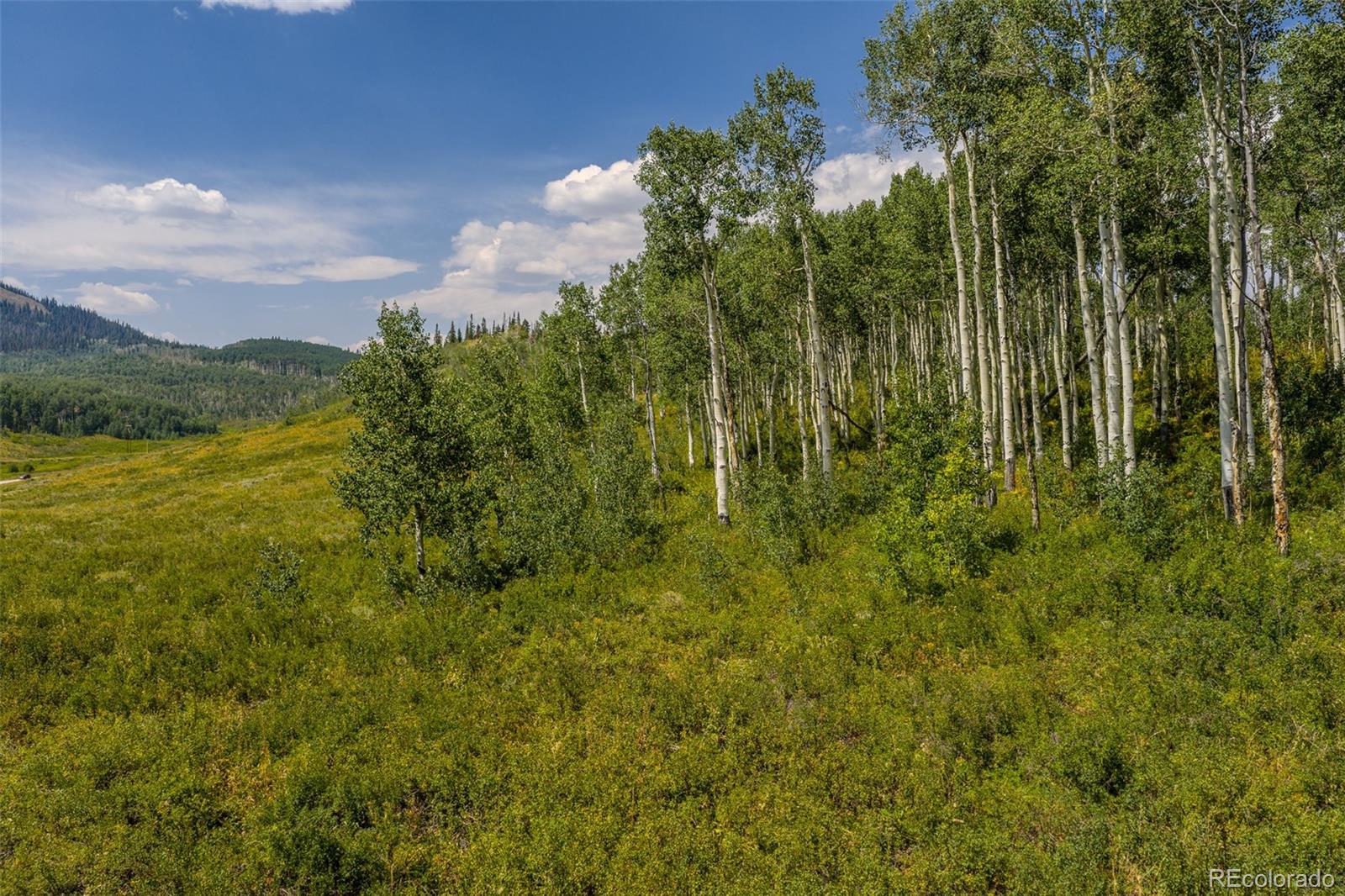 153 Gcr 286, Kremmling, CO 80459