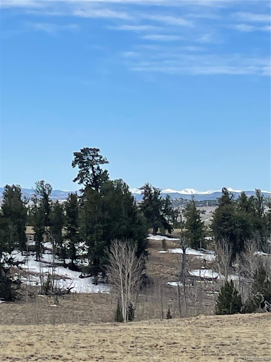 148 Grand Teton Dr, Hartsel, CO 80449