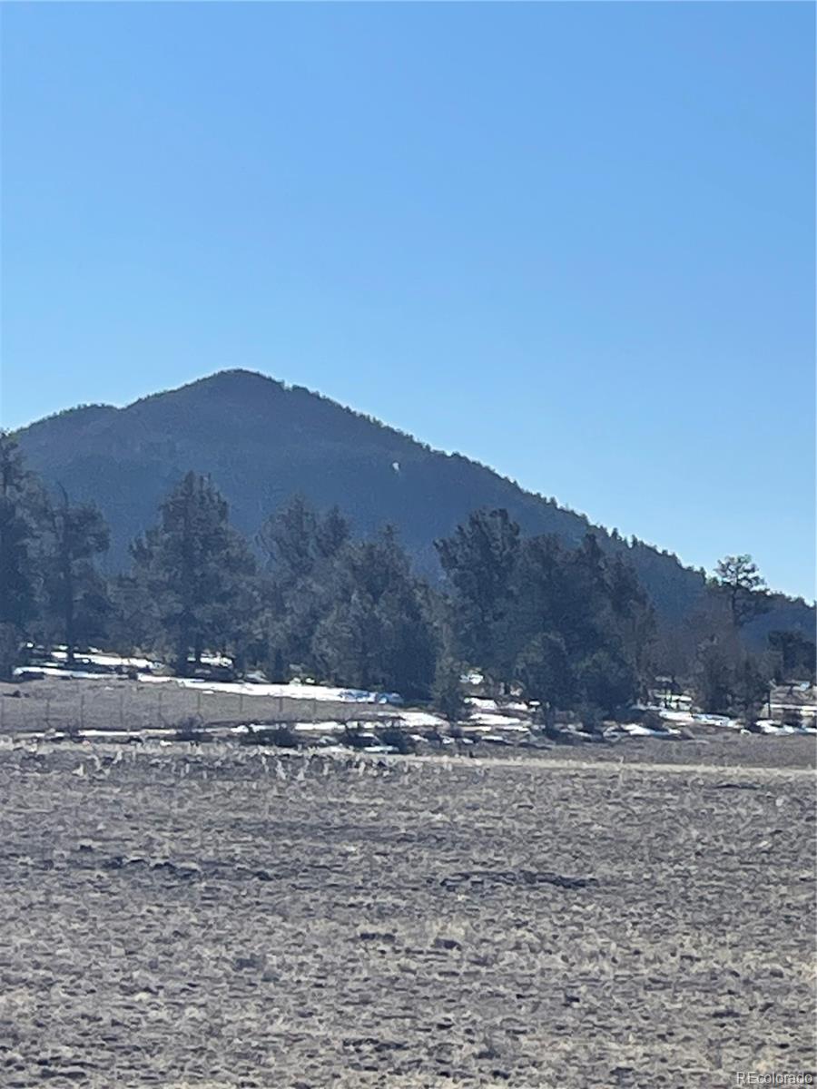 262 Grand Teton Dr, Hartsel, CO 80449