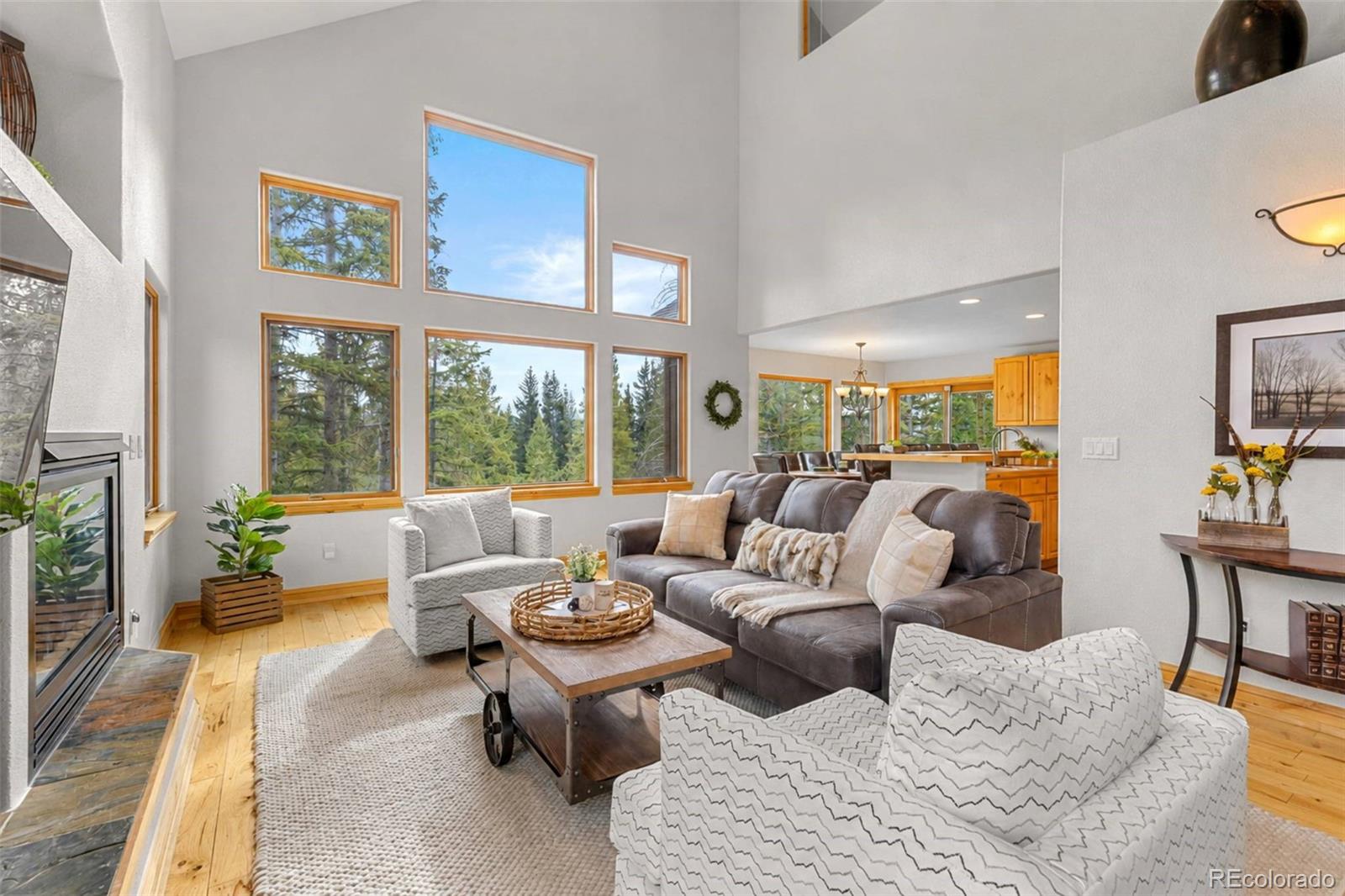 91795 Ryan Gulch Rd, Silverthorne, CO 80498