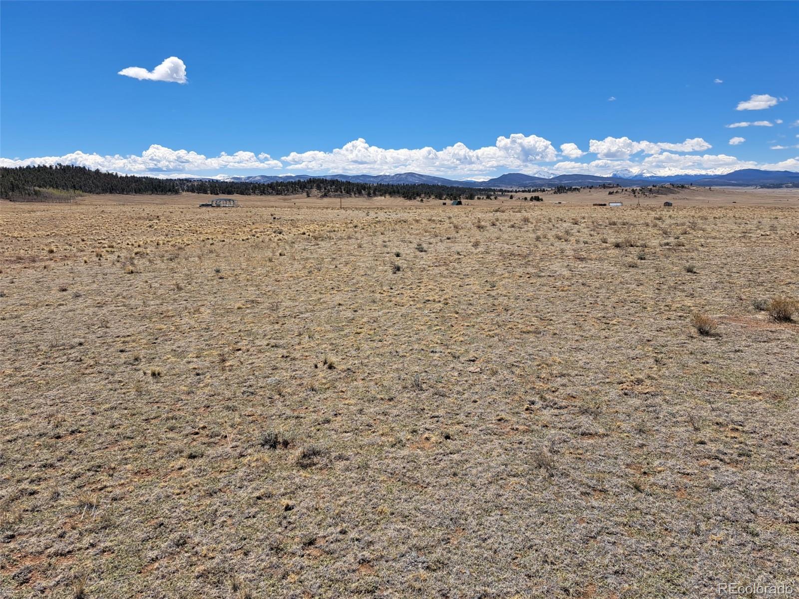8313 Black Kettle Rd, Hartsel, CO 80449