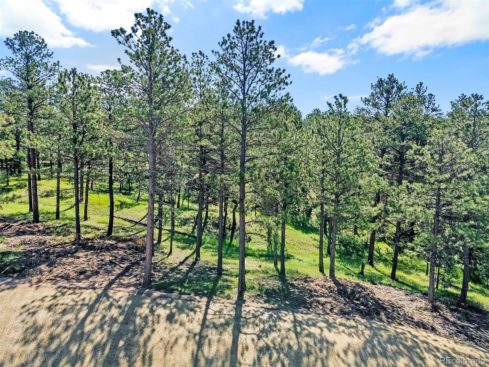 14531 Quartz Creek Dr, Colorado Springs, CO 80908