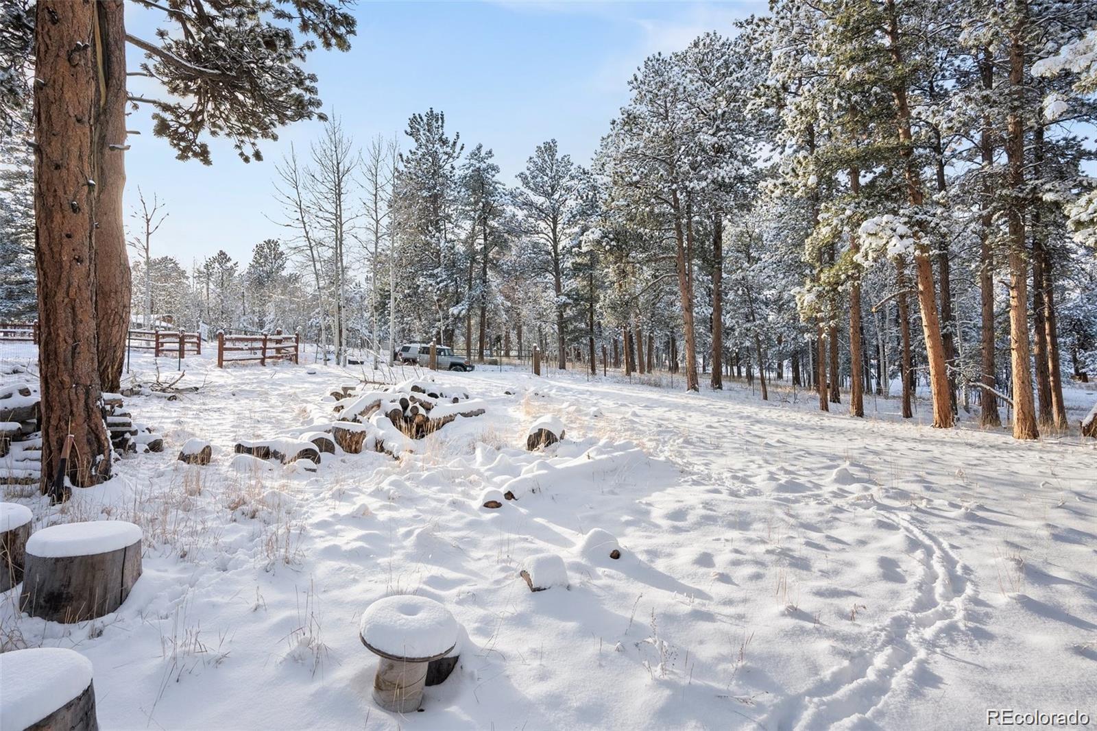 252 Beaver Trl, Bailey, CO 80421